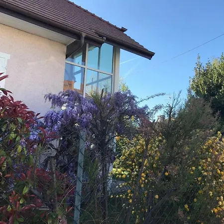 Charming House In Concise
