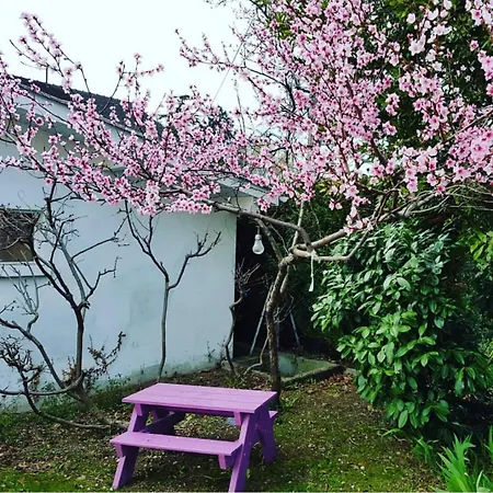 Feriehus Charming House In Concise Thonon-les-Bains